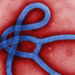 “Emory Wasn’t My First Choice, But I’ll Take It” – A Commentary by the Ebola Virus.