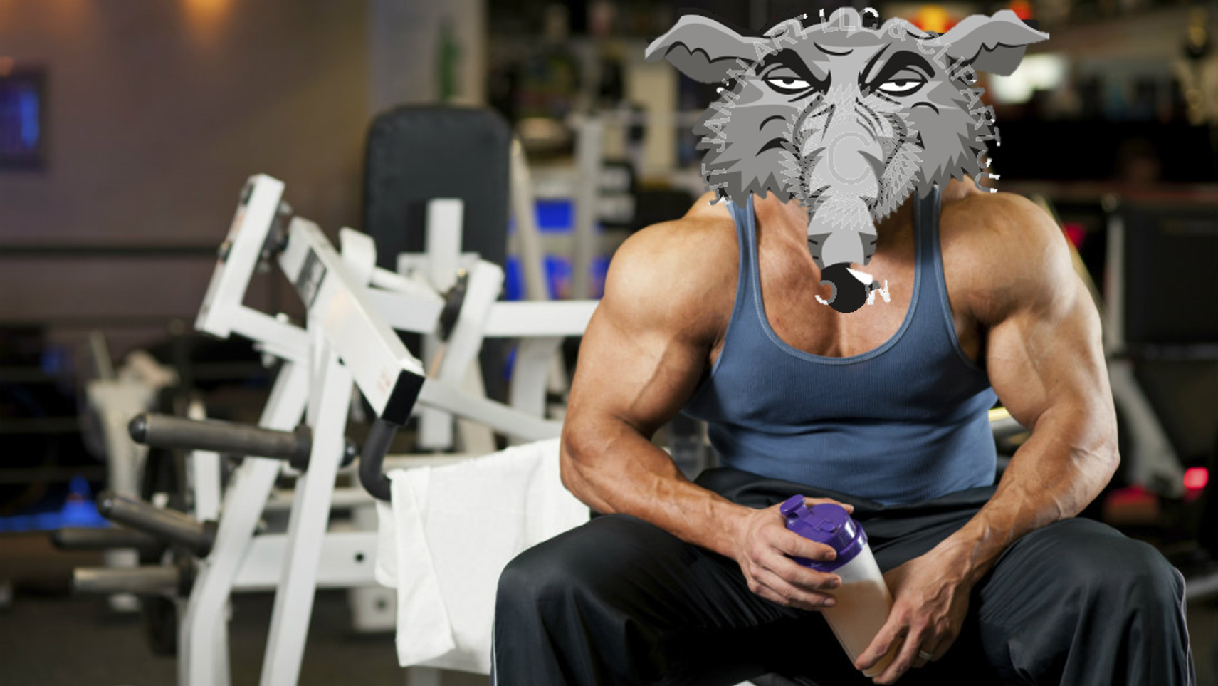 DeKalb County Cautions Gym Rat Infestation The Emory Spoke