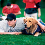 Emory Admissions Sends Unintended Copies of Air Bud: Golden Receiver to Non-Admitted Students