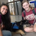 Therapy Dog Resigns After Seeing Severity of Emory Student Body’s Mental Health Issues