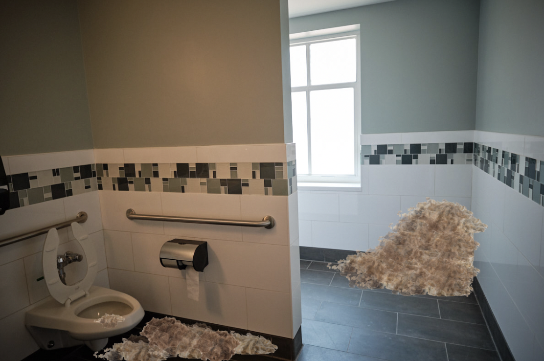 Gender Neutral Bathrooms to Be Closed Due to Influx of Pube Trimming ...